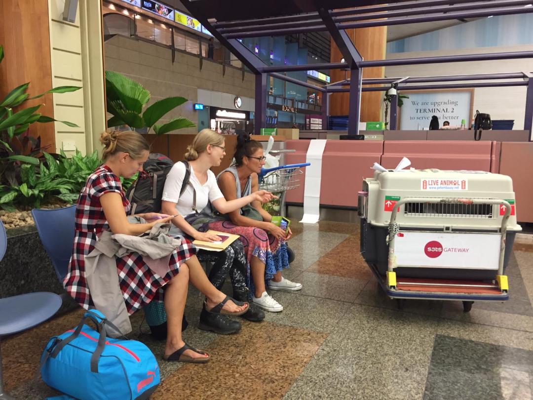 Waiting for handler to come take Pepper through oversize baggage